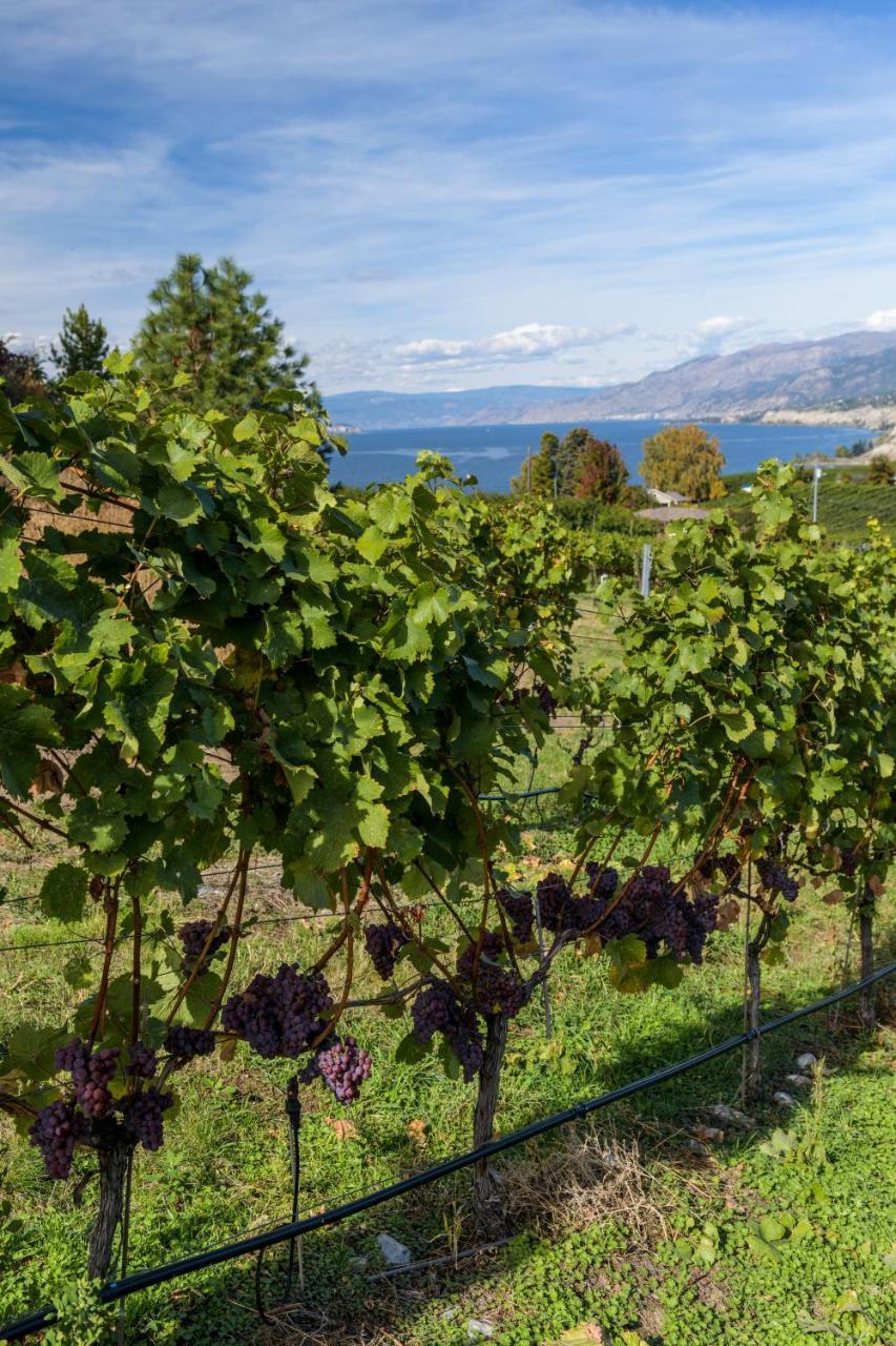 E'Laysa Guesthouse And Vineyard Retreat Penticton Exterior photo