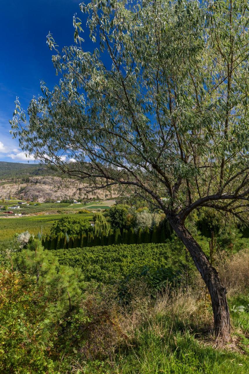 E'Laysa Guesthouse And Vineyard Retreat Penticton Exterior photo